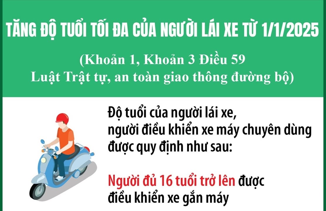 Quy Định Mới Về GPLX 2025: Hạng Bằng, Thời Hạn, Độ Tuổi Tại Việt Nam.