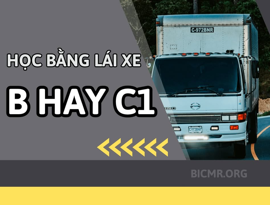 Tổng Hợp Về Bằng Lái Xe Hạng B Và C1: Từ Quy Định Đến Lựa Chọn Phù Hợp