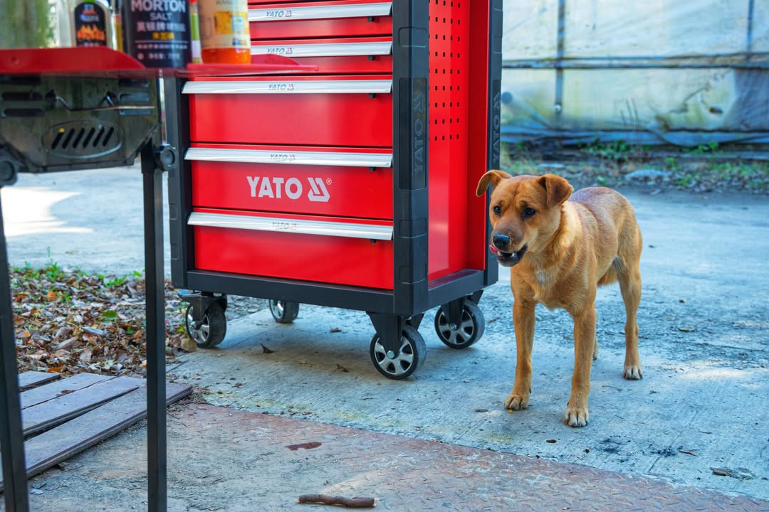 Tủ Đồ Nghề 5 Ngăn Hay 7 Ngăn: Lựa Chọn Tối Ưu Cho Xưởng Của Bạn Tủ Đồ Nghề 5 Ngăn Hay 7 Ngăn: Lựa Chọn Tối Ưu Cho Xưởng Của Bạn